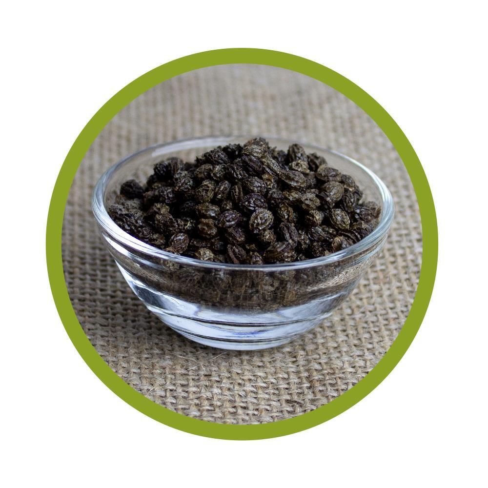 vitalundfitmit100® Papaya Kerne / Samen