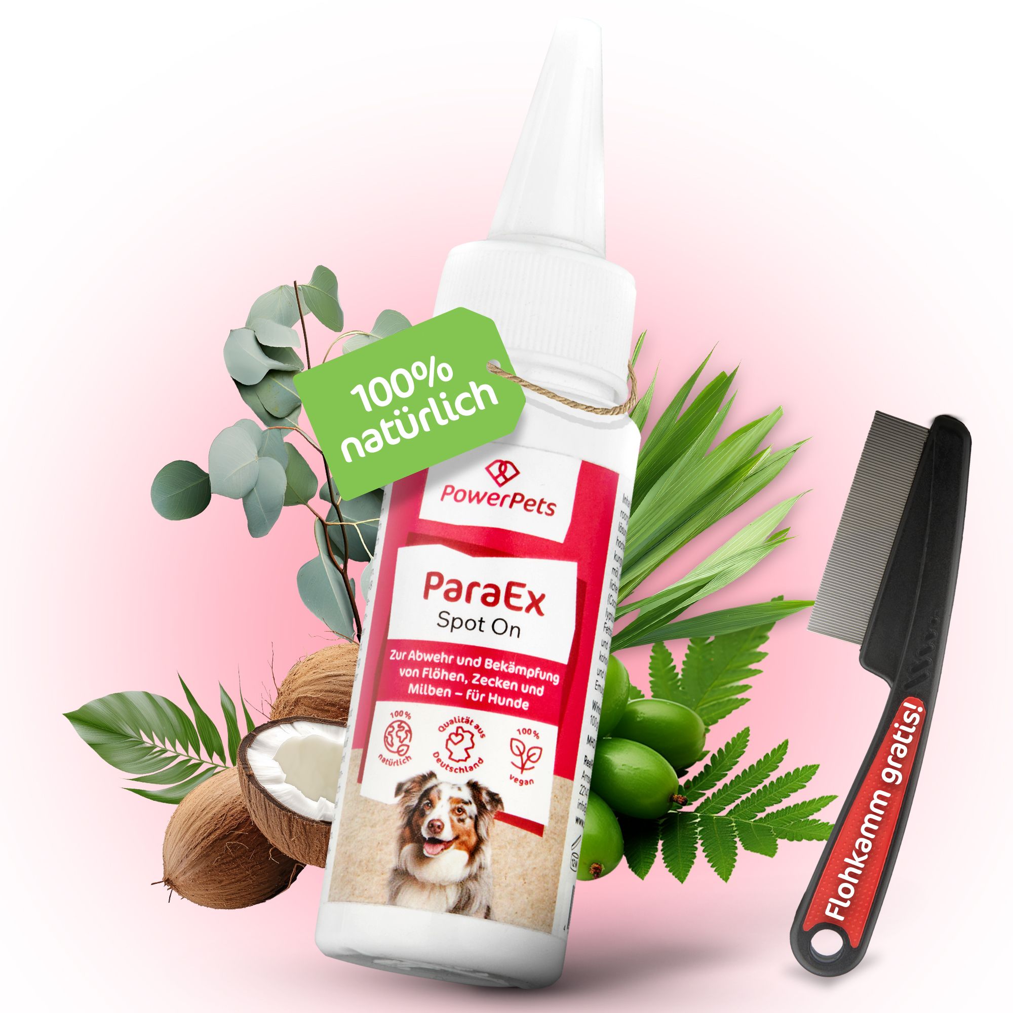 PowerPets - ParaEx - SpotOn für Hunde - 40ml