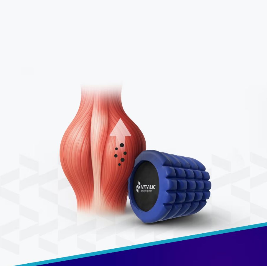 Blauer Faszienroller neben einem Muskelmodell. Pfeil und Punkte zeigen auf den Muskel. VITALIC-Logo.