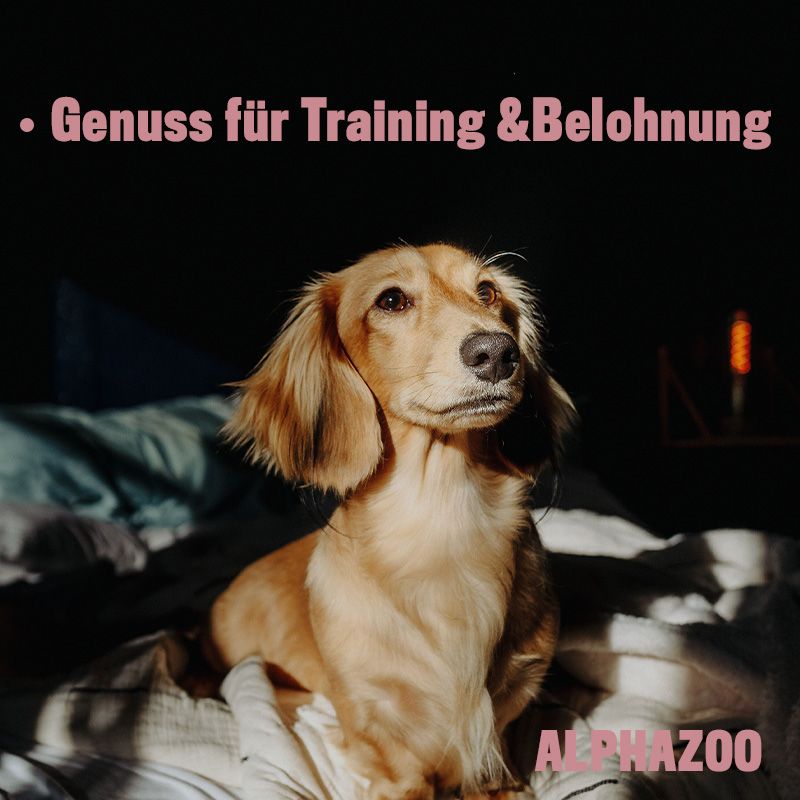 ALPHAZOO Alles Fisch Auf'm Tisch