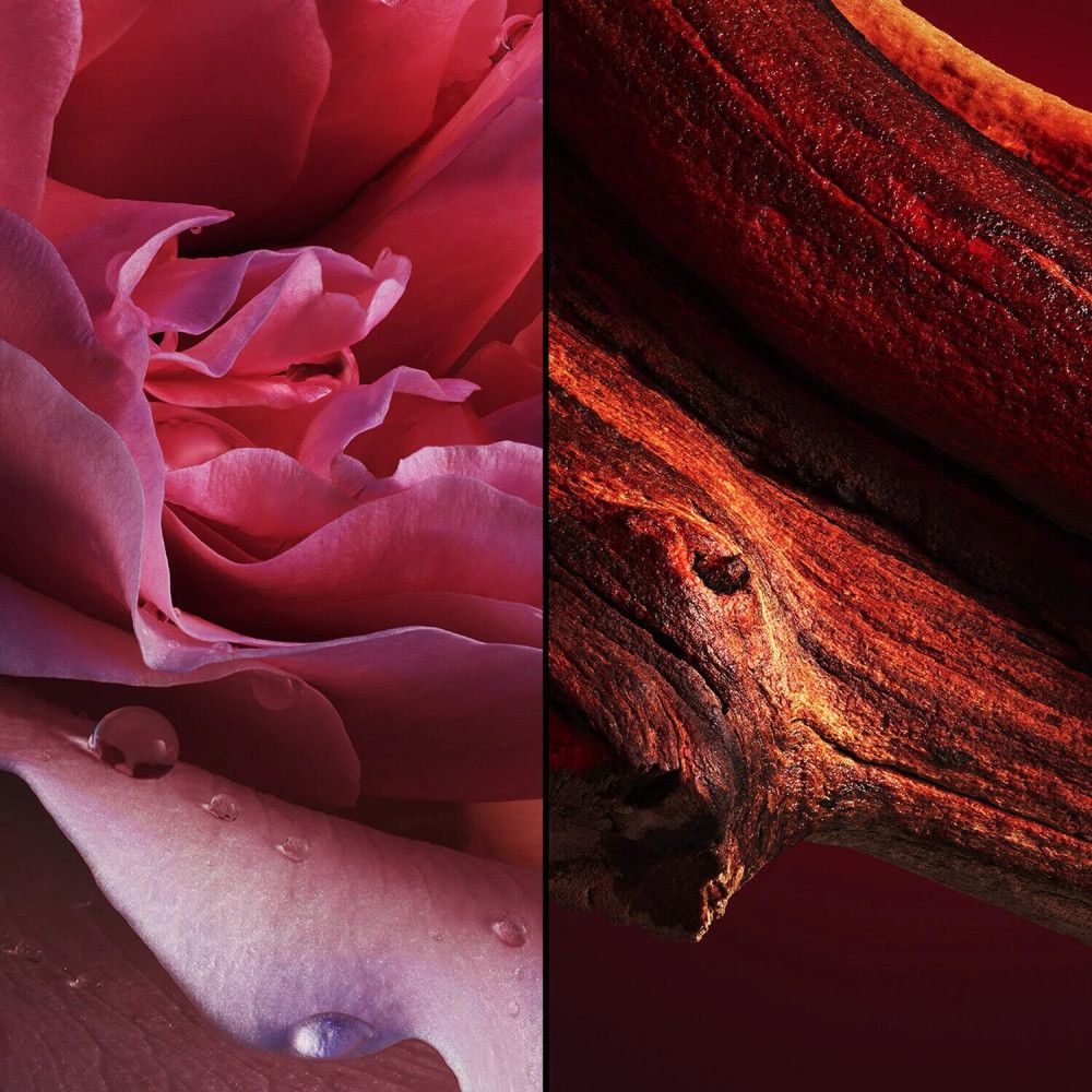Zweiteiliges Bild. Links: Rosa Rosenblüte mit Wassertropfen. Rechts: Braunes Holz mit Rinde. Roter Hintergrund.