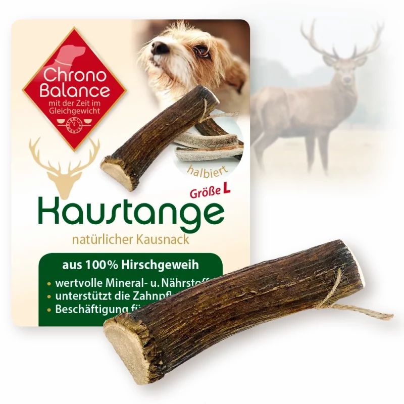 Halbierte Rothirsch Geweihstange, Größe L, mit Verpackung. Braunes, längliches Kauprodukt für Hunde. Aufschrift: ChronoBalance, Kausnack.