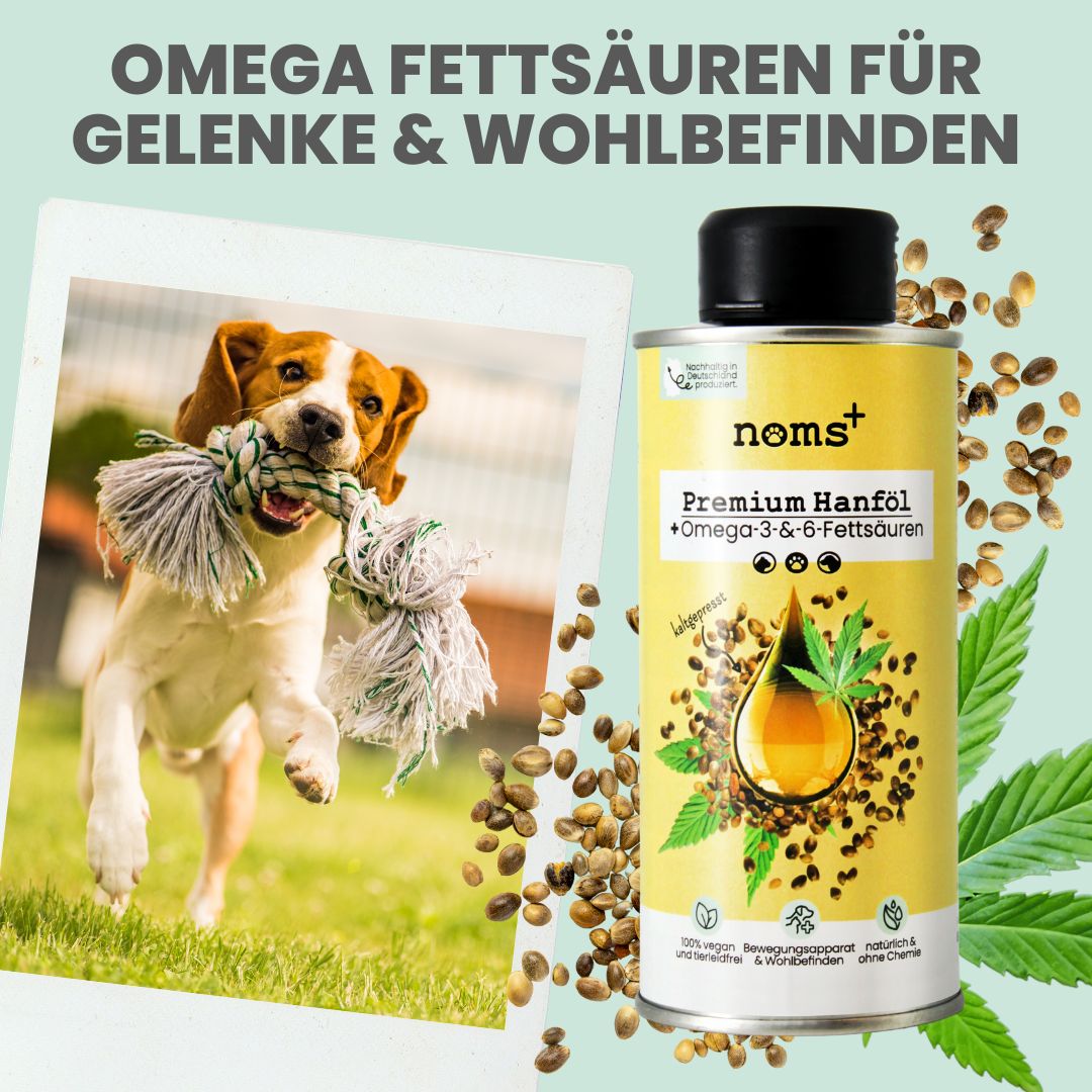 noms+ Kaltgepresstes Hanföl für Hunde & Katzen 250 ml Öl