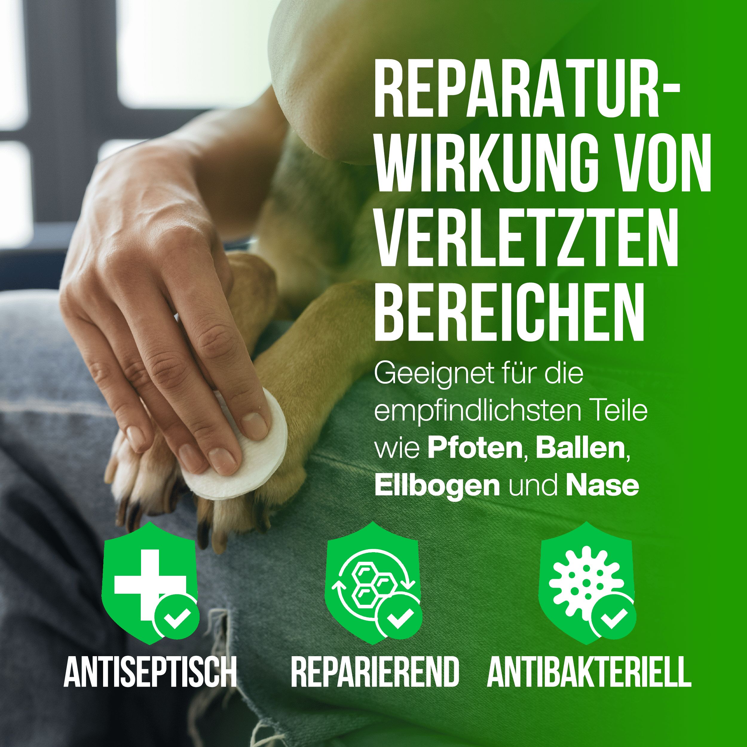 LA.GA Petbalm Pfotencreme & Nasenbalsam für Hunde und Katzen