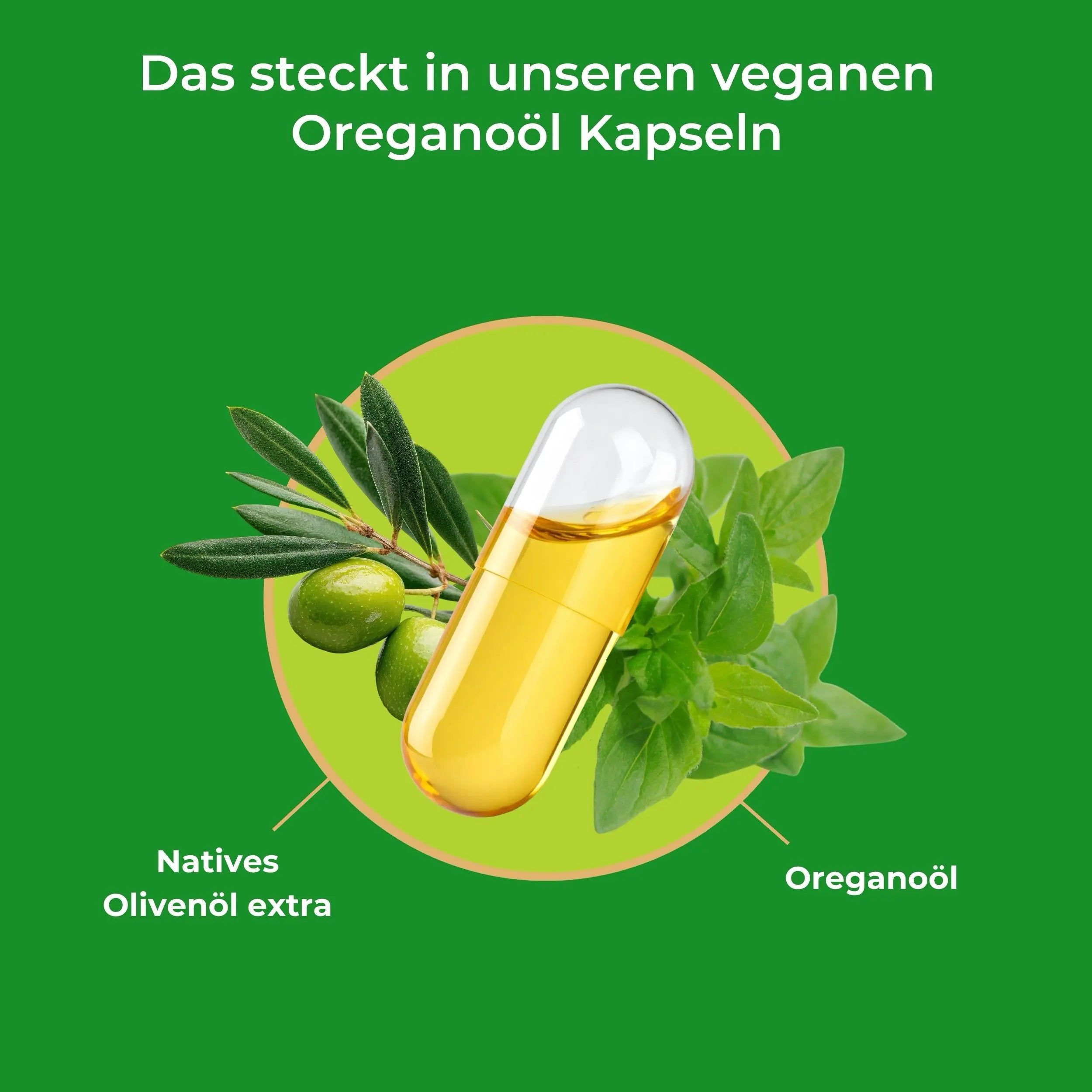 Eine Kapsel mit gelbem Öl, daneben Olivenzweig mit Früchten und Oreganoblätter. Beschriftung: Natives Olivenöl extra, Oreganoöl.