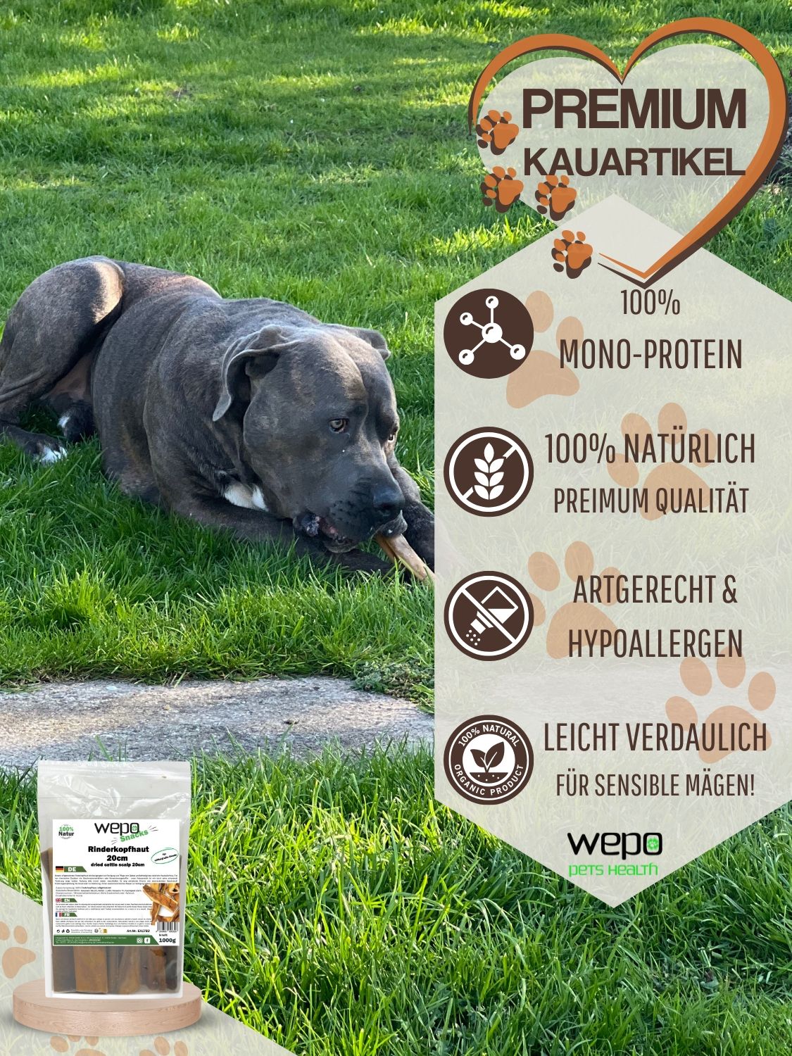 Hund kaut auf Rinderkopfhaut. Verpackung von WEPO Snacks im Hintergrund. Text: Premium Kauartikel, 100% Monoprotein.