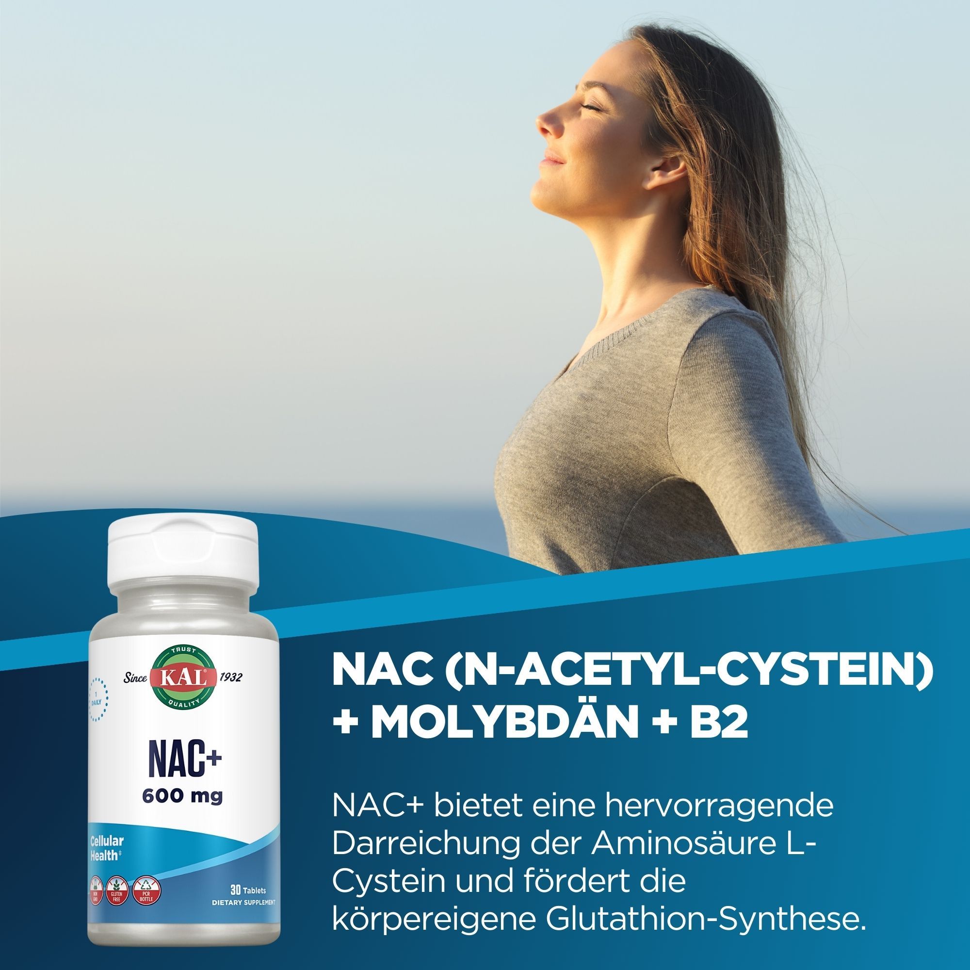 KAL NAC + MOLYBDAEN + B2