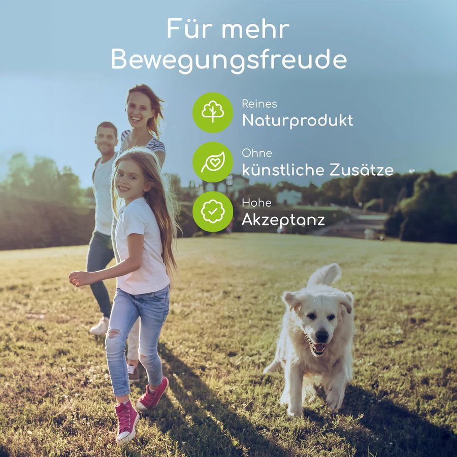 Wolfsbacher Natur Gelenktabletten