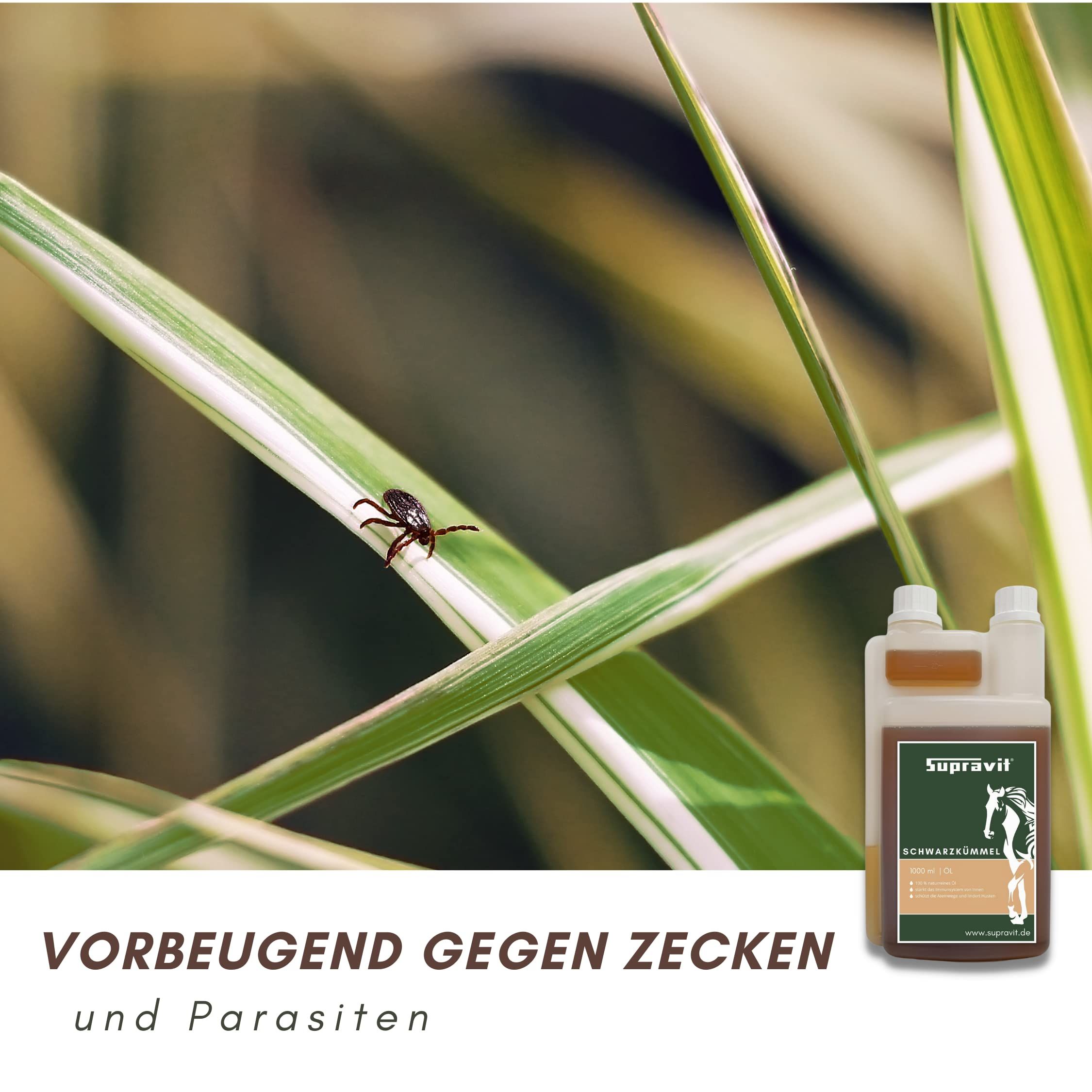 Zecke auf Gras. Flasche mit Etikett: Supravit Schwarzkümmelöl. Text: Vorbeugend gegen Zecken und Parasiten.
