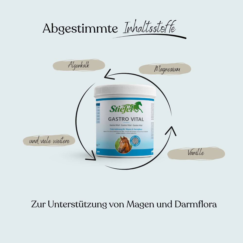 Weißes Produktglas mit blauem Etikett. Text: Stiefel Gastro Vital. Abbildung eines Pferdes. Zutaten: Algenkalk, Magnesium, Vanille.