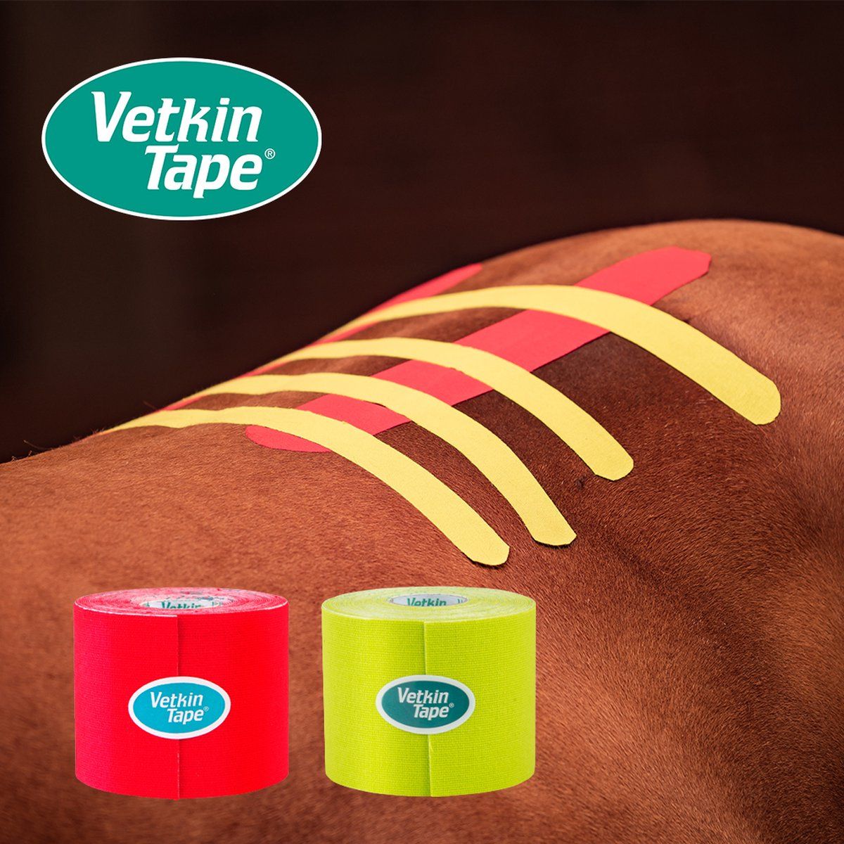 VetkinTape 6cm Lime, Kinesiotape für Pferde u.a. Tiere