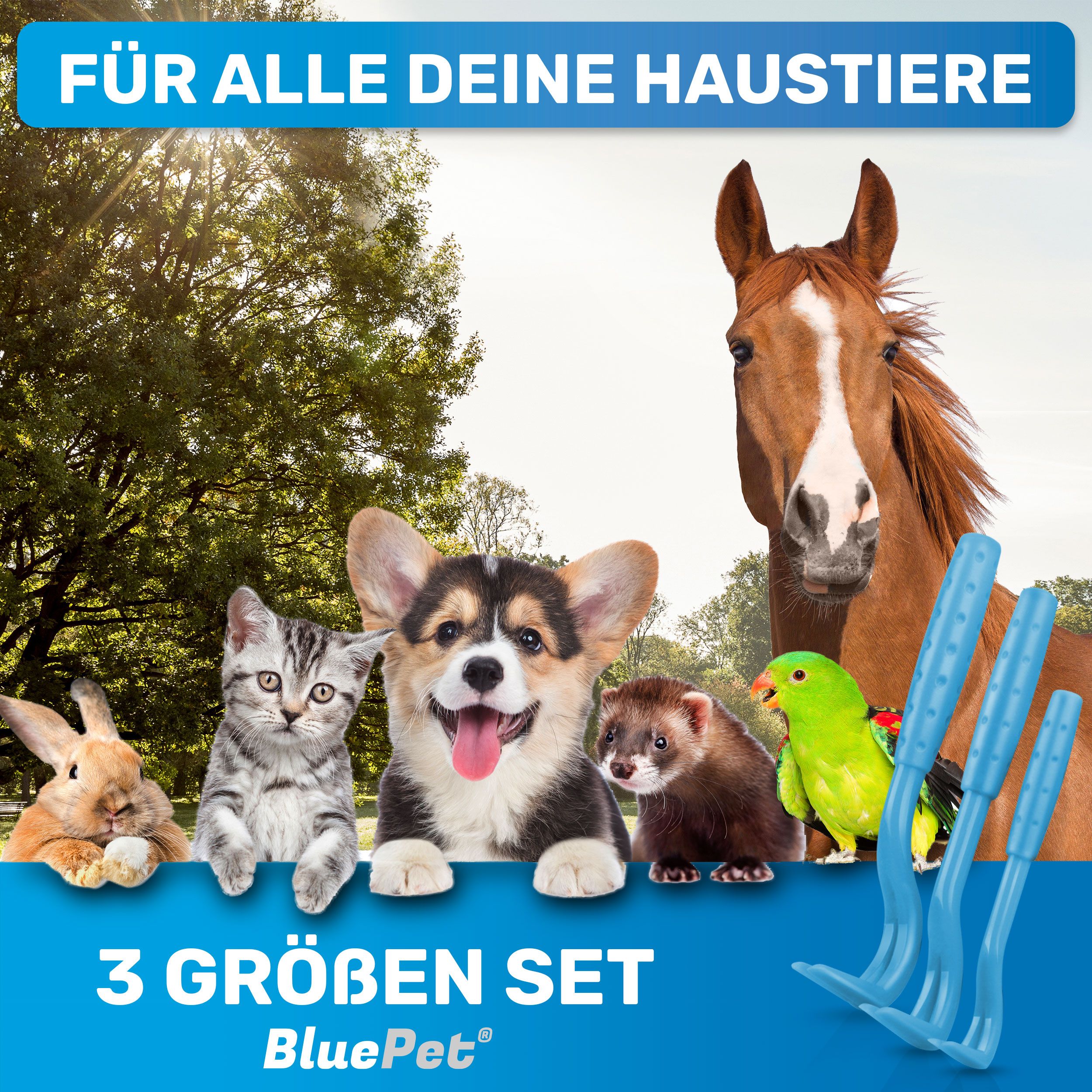 BluePet 3er Set Zeckenhaken als Zeckenentferner