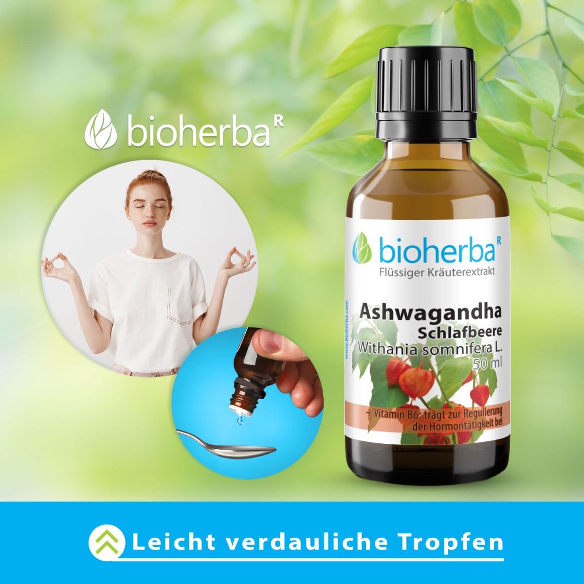Ashwagandha Schlafbeere Tropfen Tinktur 50 ml PZN 17187511