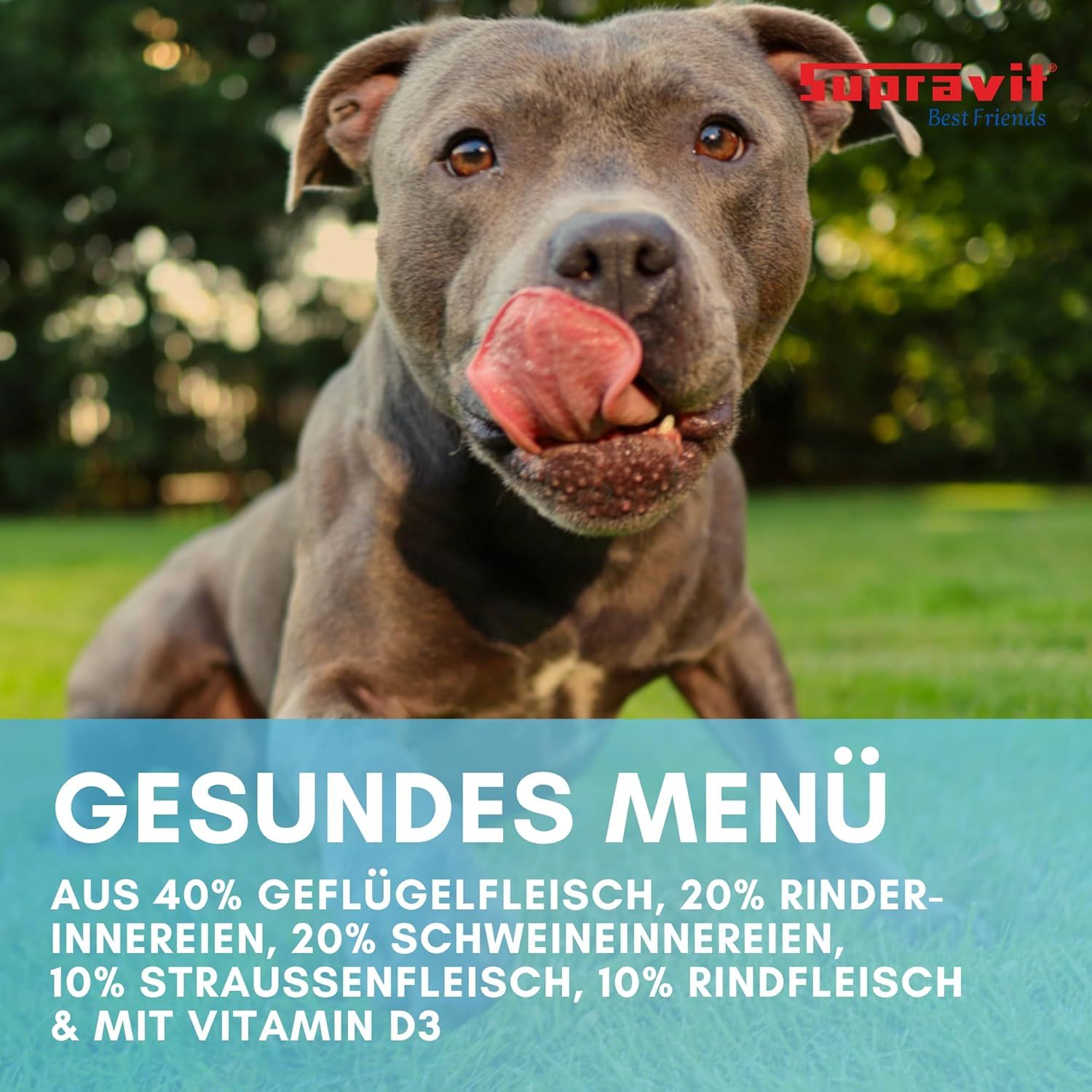 Hund leckt sich die Lippen. Text: Gesundes Menü. Aus 40% Geflügel, 20% Innereien, 20% Schweineinnereien, 10% Strauß, 10% Rind.