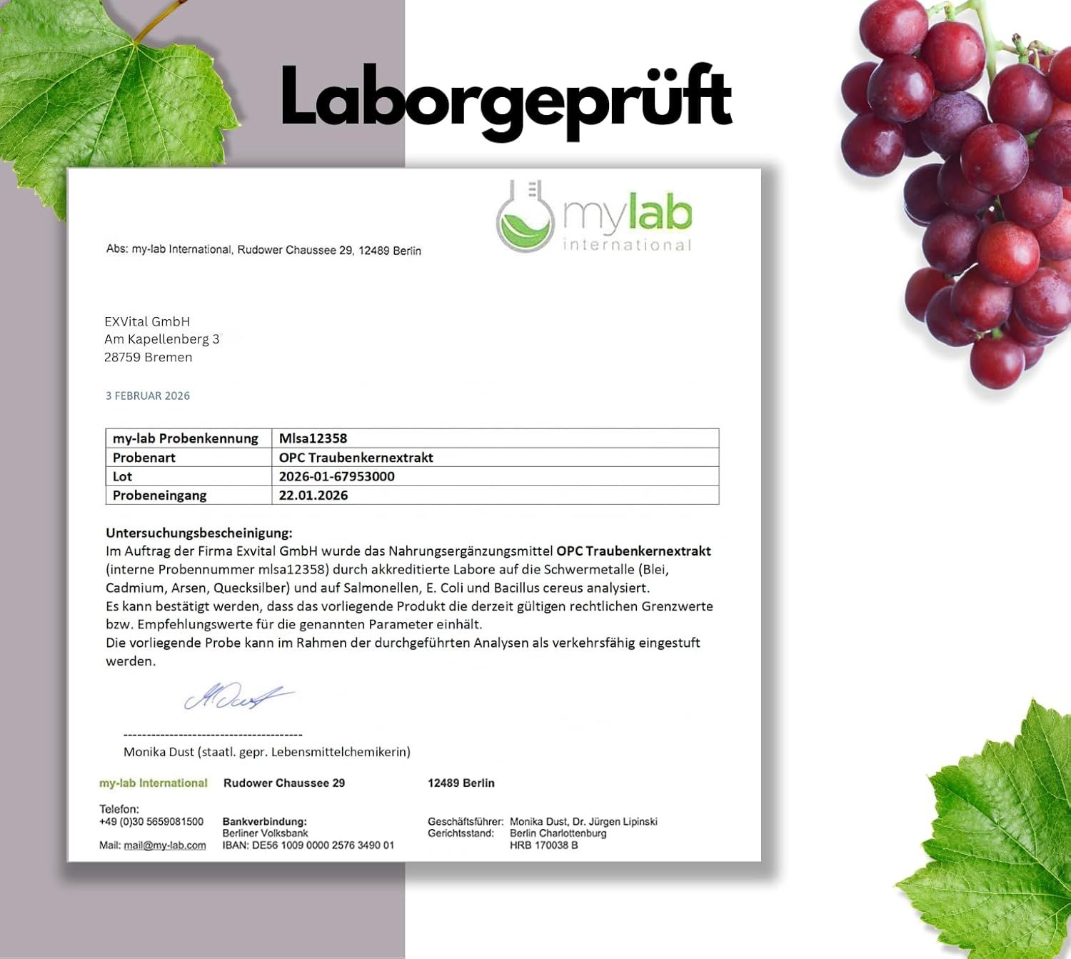 Laborgeprüftes Zertifikat von mylab International. Bestätigung für OPC Traubenkernextrakt. Analyseergebnisse und Unterschrift.