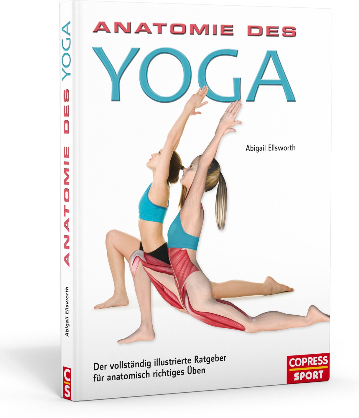 Buchcover: Anatomie des Yoga. Titel und Autor sichtbar. Illustration zweier Yoga-Übungen. Verlag Logo.