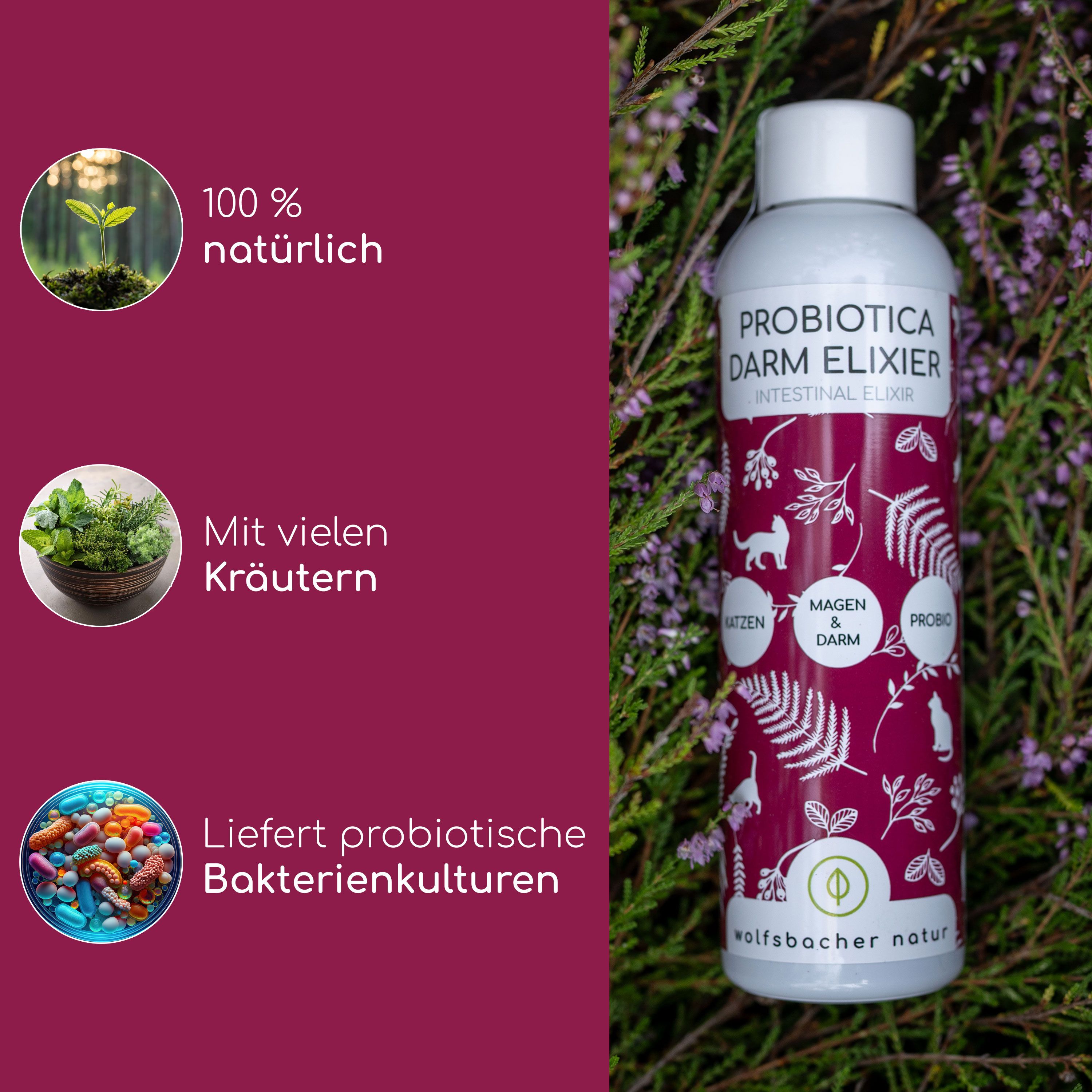 Flasche mit Etikett vor lila Hintergrund. Text: Probiotica Darm Elixier. Logos: 100% natürlich, Kräuter, Bakterienkulturen. Marke: Wolfsbacher Natur.