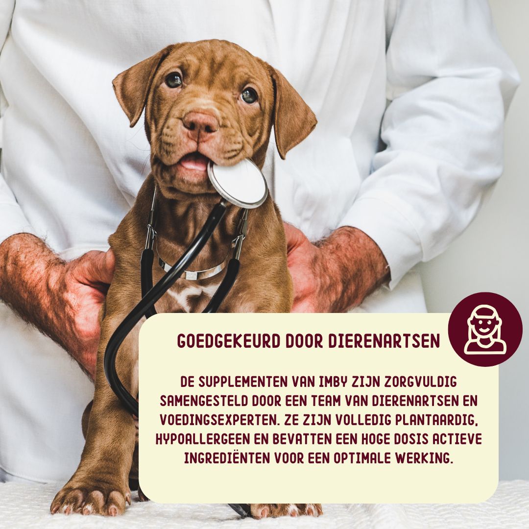 Imby Allergy and Anti-Itch - Kausnacks für allergische Hunde mit Juckreiz
