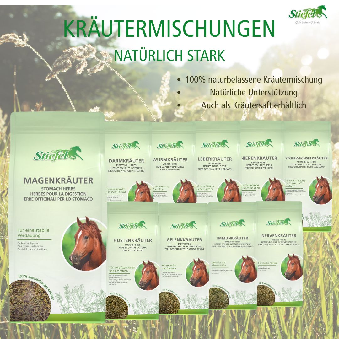 Mehrere Beutel Stiefel Kräutermischungen. Aufschrift: Magenkräuter, Darmkräuter, Wurmkräuter, Leberkräuter, etc. Abbildung eines Pferdes.