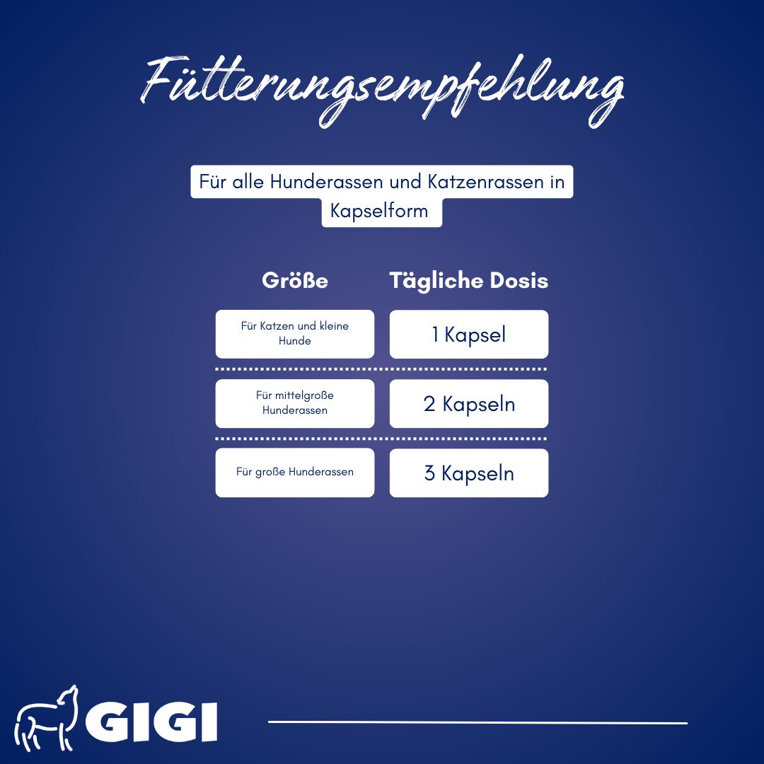 Fütterungsempfehlung: Kapseln für Hunde und Katzen. Dosierung nach Größe.
