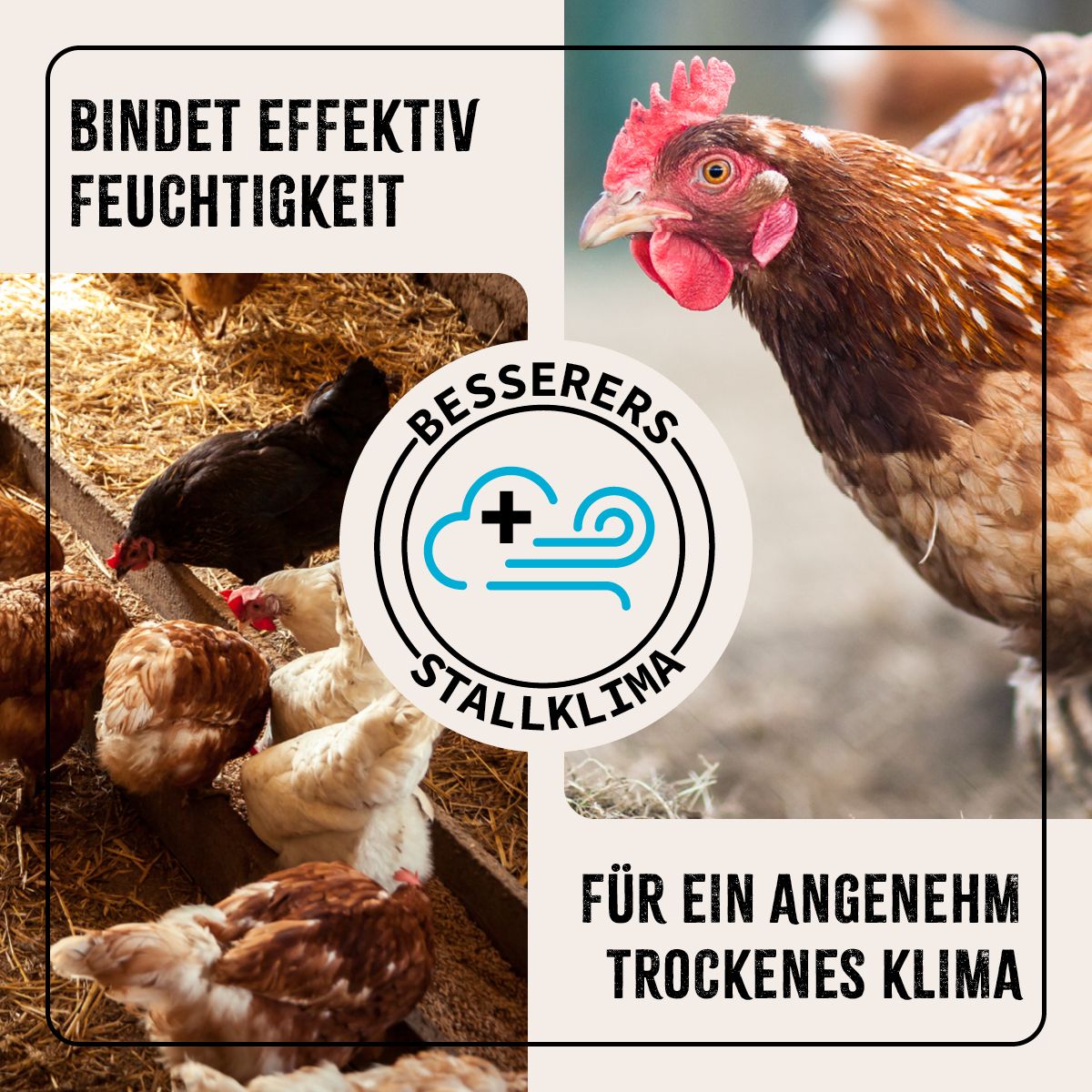 AniForte Kieselgur Pulver (ehem. Milben-STOP Puder) inkl. Stäuberflasche