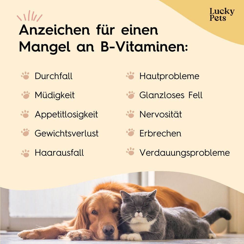 Anzeichen für B-Vitamin-Mangel: Durchfall, Müdigkeit, Appetitlosigkeit, Gewichtsverlust, Haarausfall, Hautprobleme, glanzloses Fell, Nervosität, Erbrechen, Verdauungsprobleme.