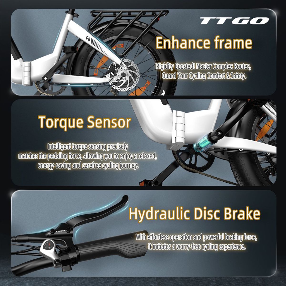 E-Bike-Komponenten: Rahmen, Drehmomentsensor, hydraulische Scheibenbremse. Marke TTGO, Modell F6.