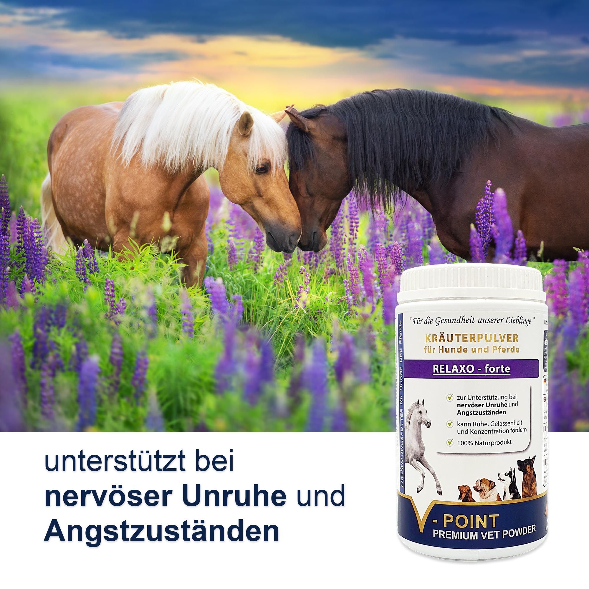 V-Point® Relaxo forte - Kräuterpulver bei nervöser Unruhe 500 g Pulver