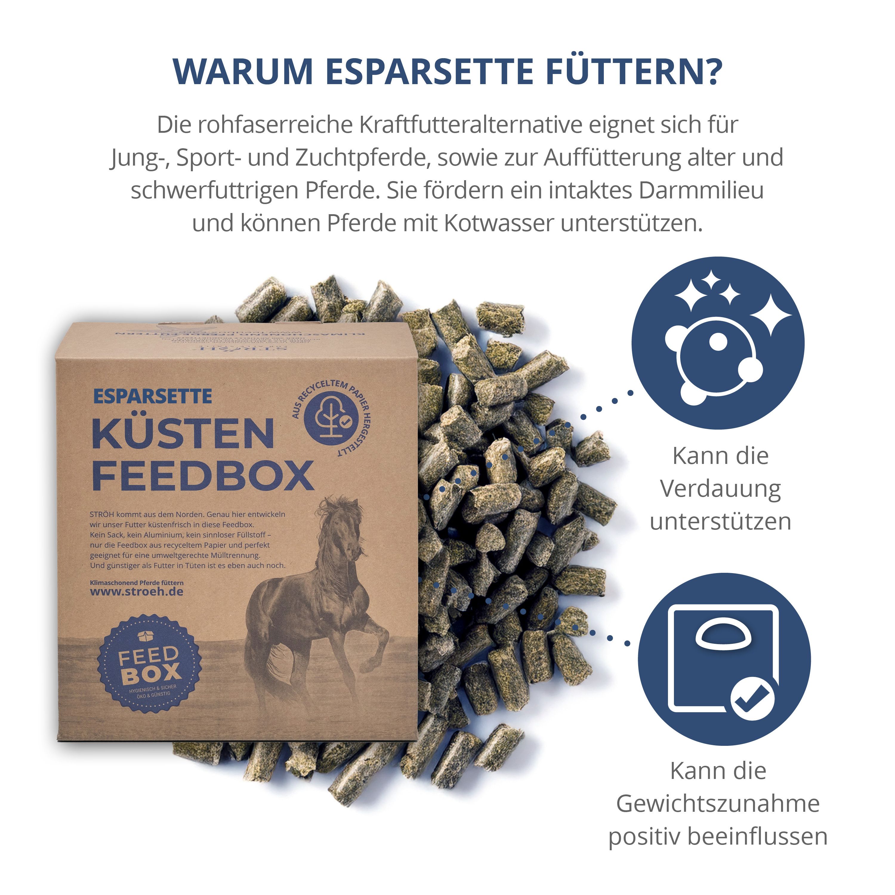 Karton Küsten Feedbox mit Esparsette-Cobs, umgeben von Cobs. Infografiken zeigen Vorteile: Verdauung, Gewichtszunahme.