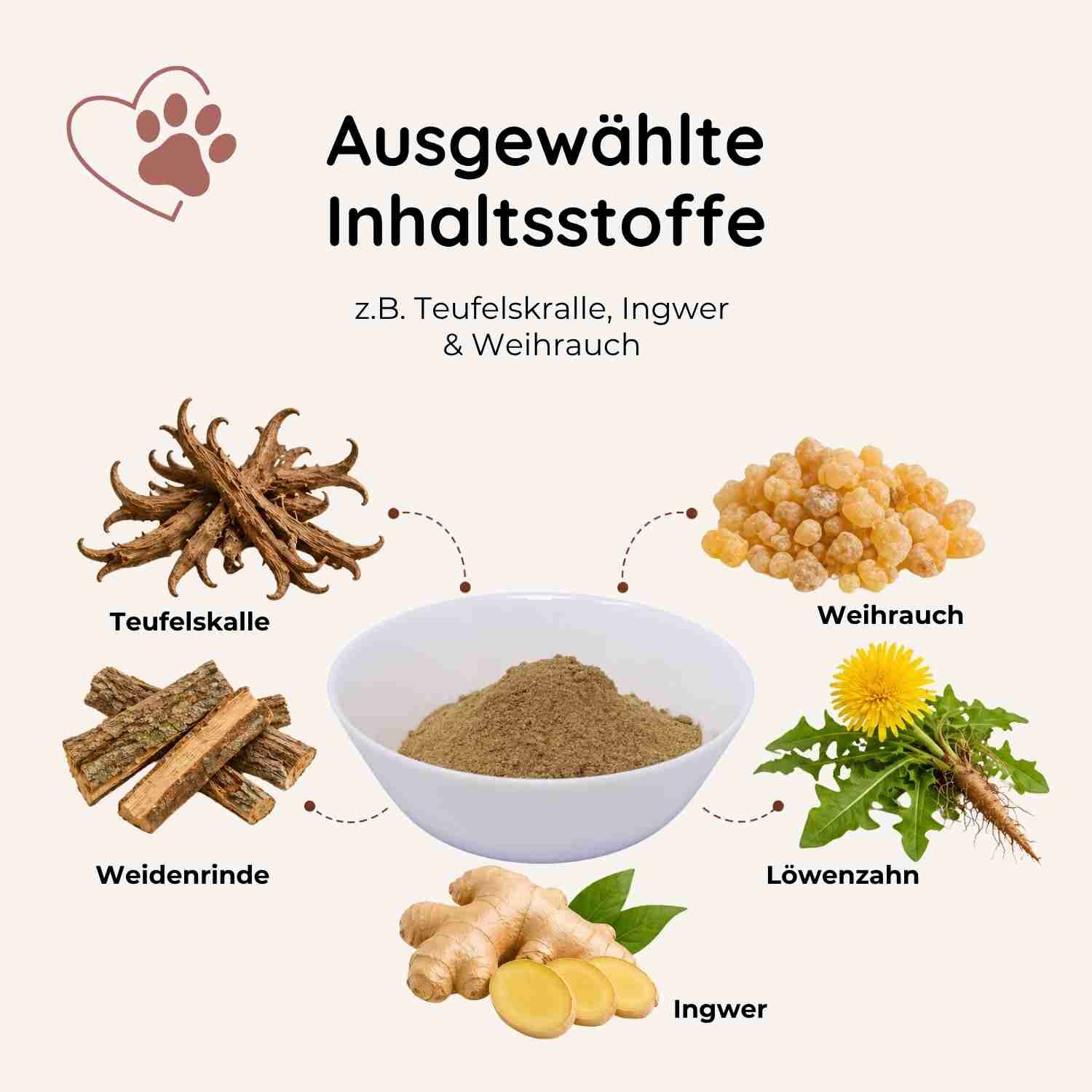 Zutaten für Hundefutter: Teufelskralle, Weidenrinde, Ingwer, Weihrauch, Löwenzahn.