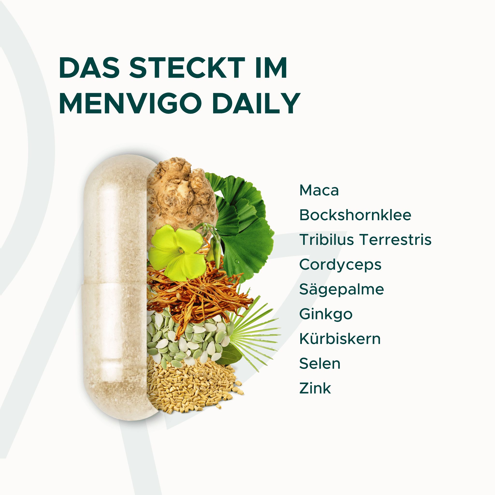 Menvigo® Daily