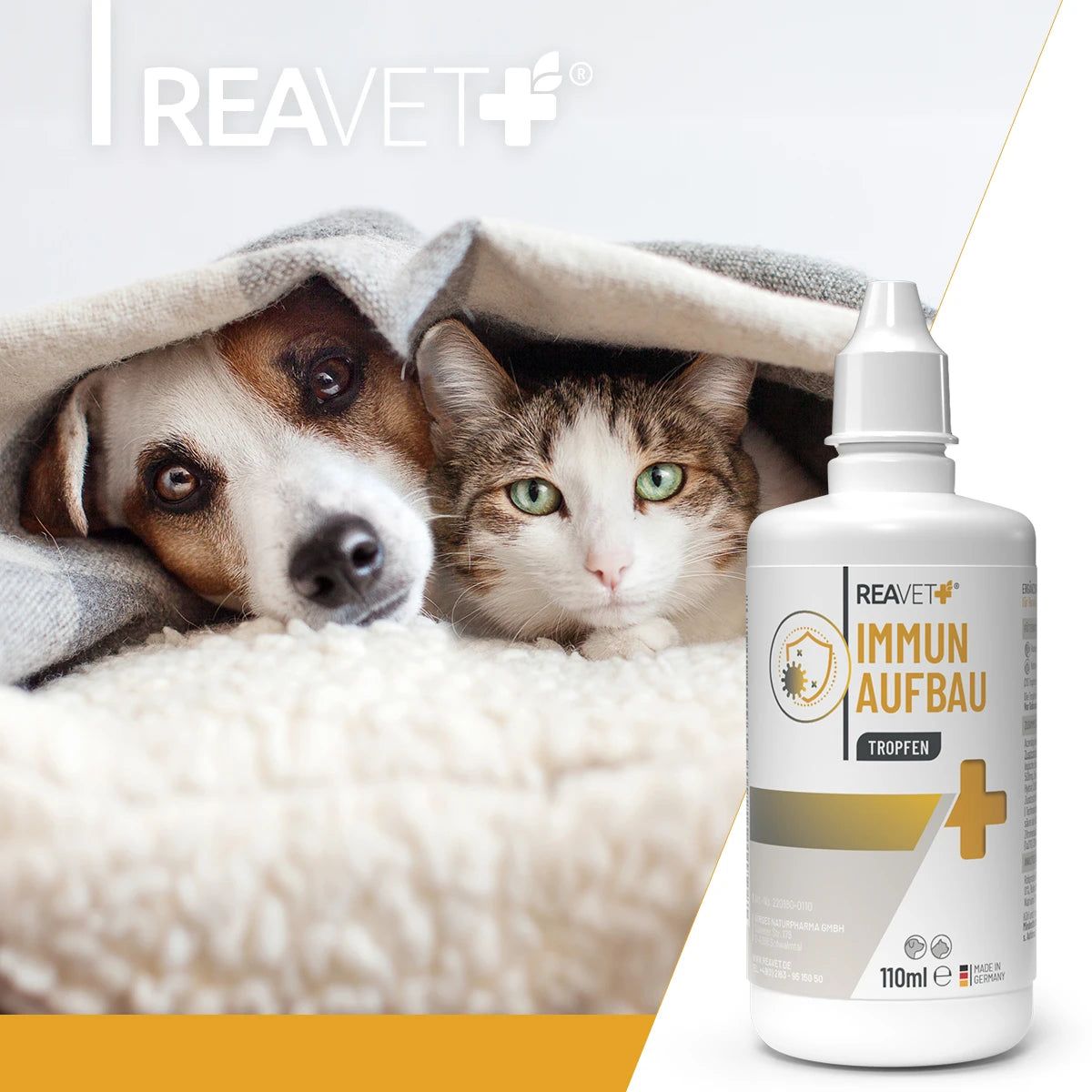 Immun Aufbau Tropfen - ReaVET