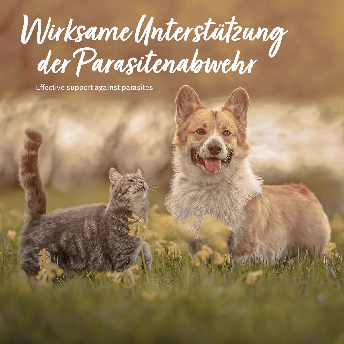 Ungeziefer-EX Puder - AniForte®
