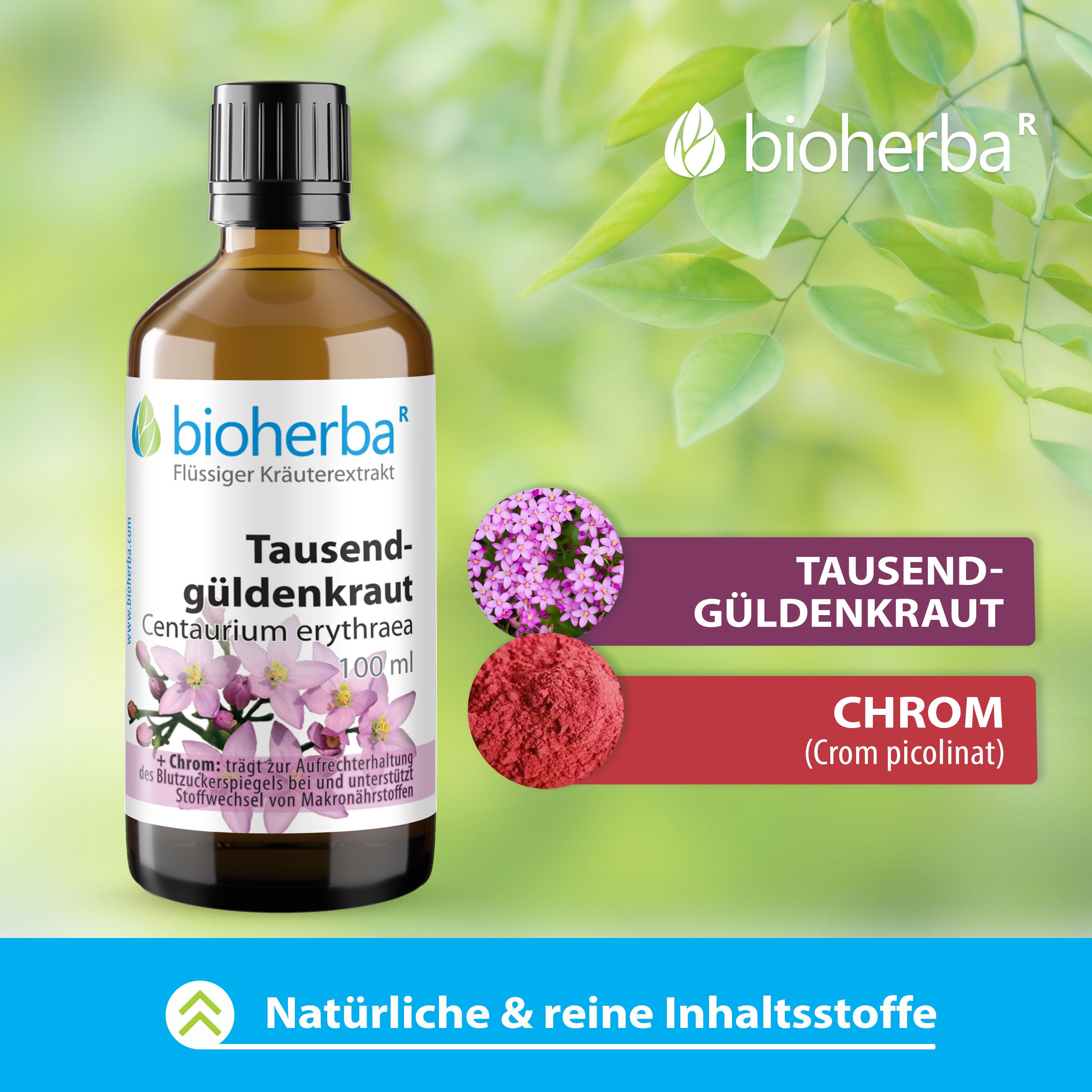 Bioherba Tausendgüldenkraut Centaurium erythraea Tropfen Tinktur