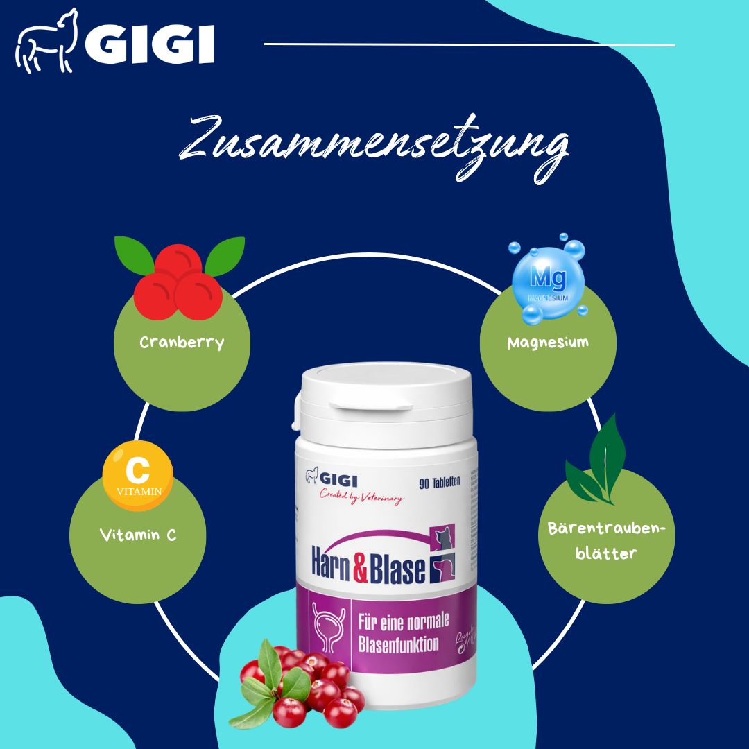 Zusammensetzung: Cranberry, Magnesium, Vitamin C, Bärentraubenblätter. GIGI Vet Harn & Blase Tabletten-Dose.