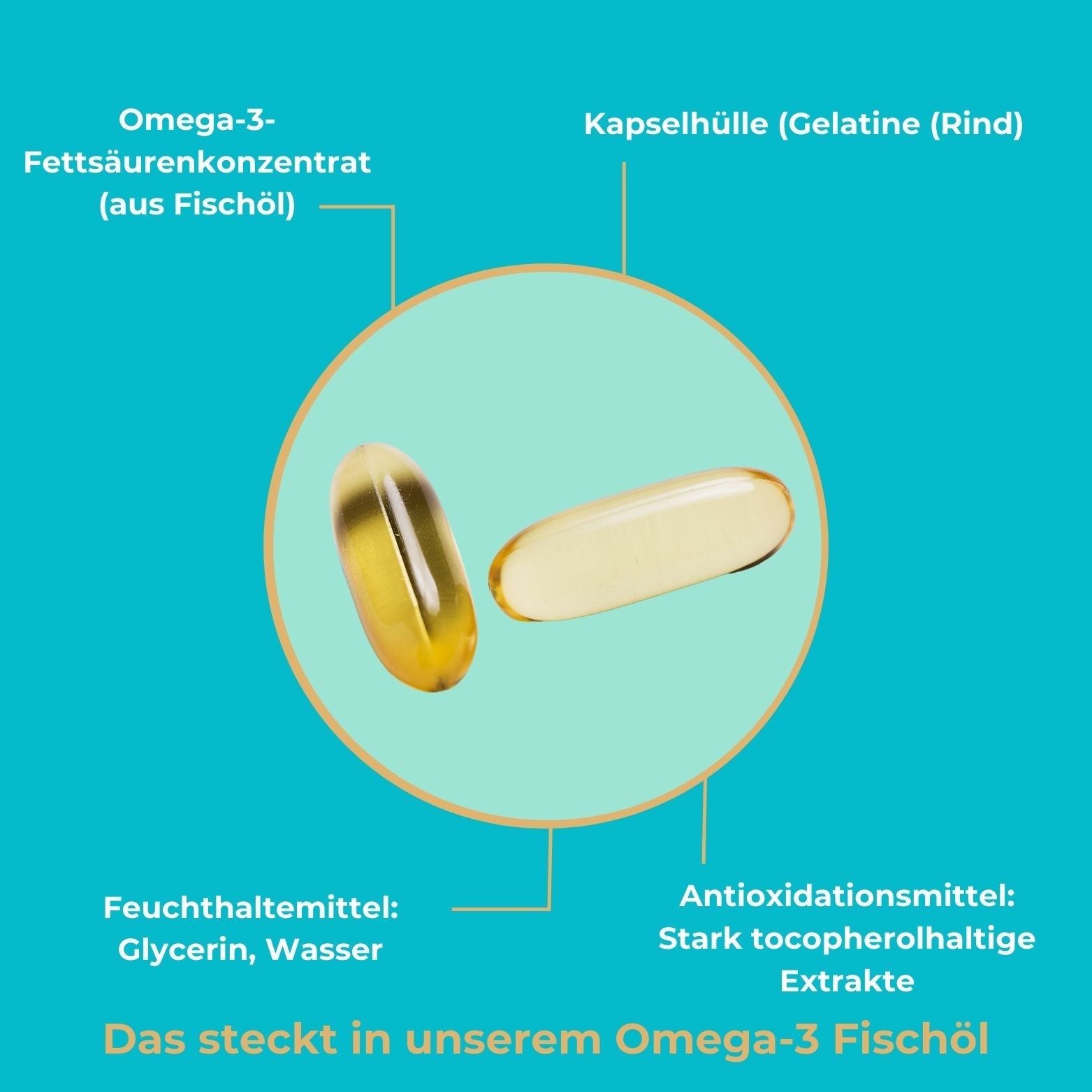 Viktilabs Premium Omega-3 Fischöl Kapseln