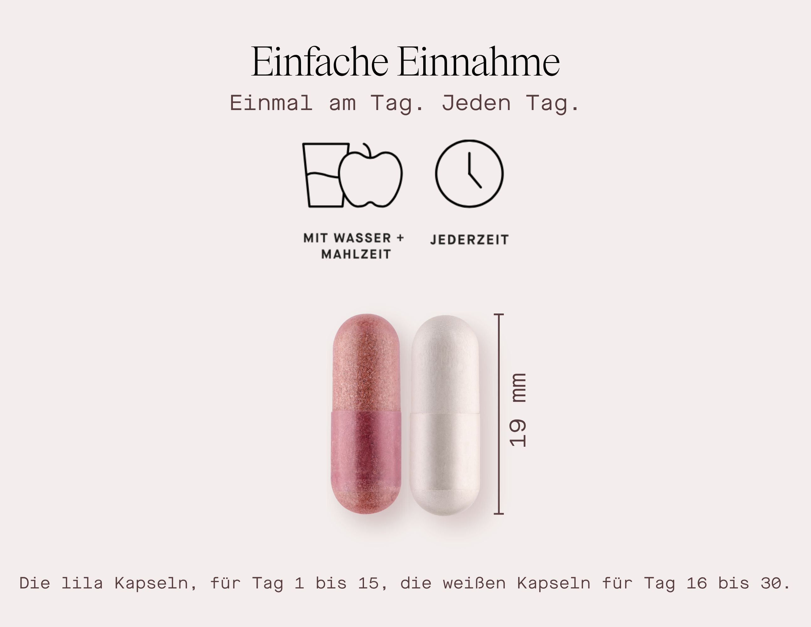 Zwei Kapseln, eine rosa, eine weiße. Text: Einfache Einnahme. Einmal am Tag. Jeden Tag. 19 mm. Die lila Kapseln für Tag 1-15, die weißen für Tag 16-30.