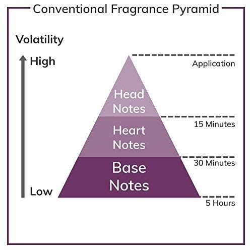 Diagramm der Duftpyramide. Zeigt Kopf-, Herz- und Basisnoten. Beschriftung: Anwendung, 15 Minuten, 30 Minuten, 5 Stunden.