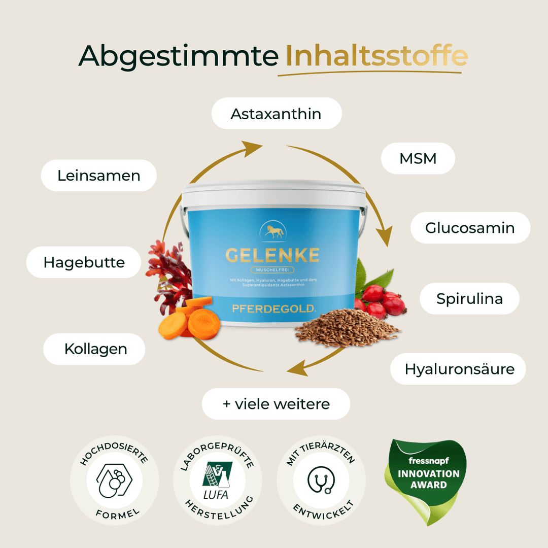 Pferdegold Gelenke muschelfrei