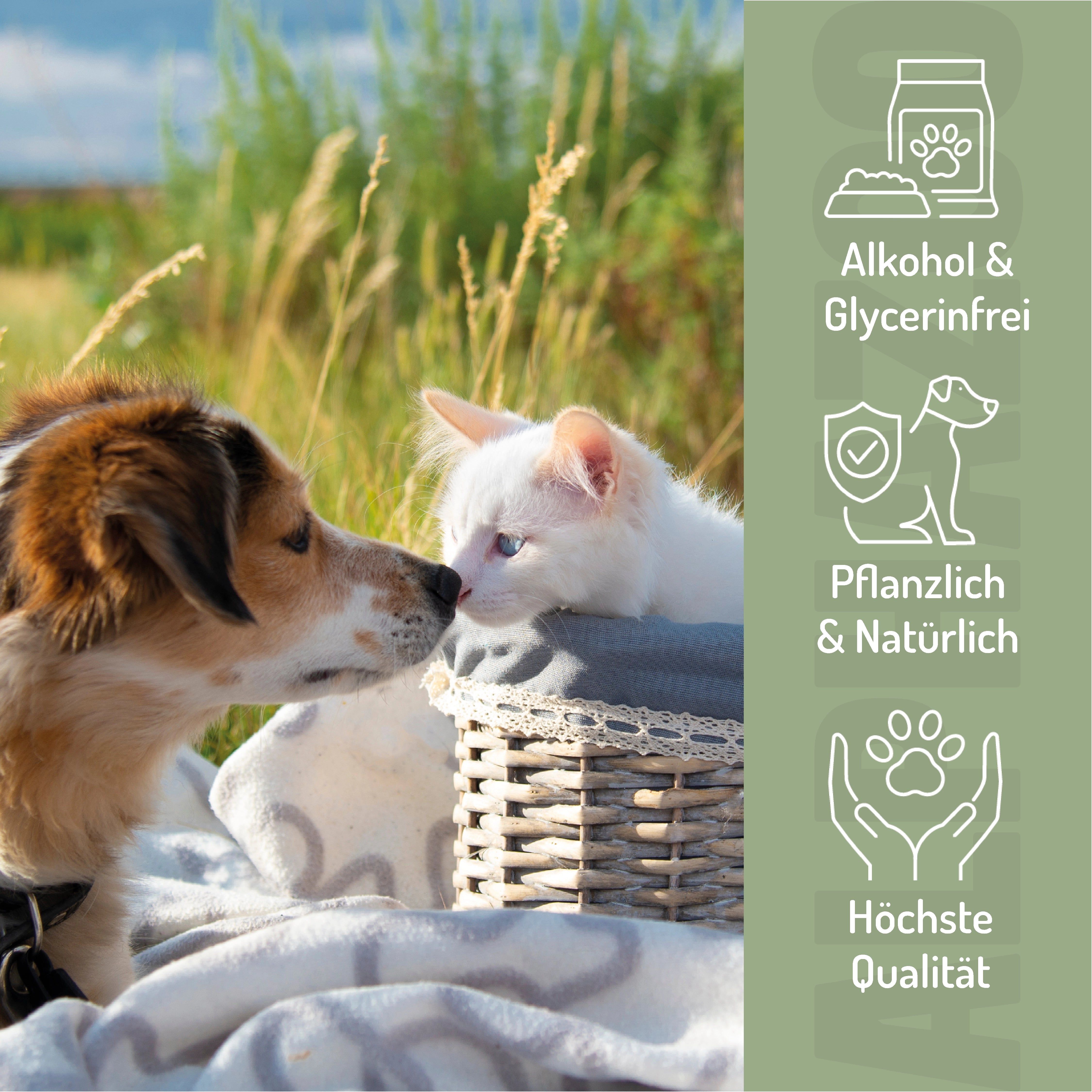 Hund und Katze in einem Korb. Text: Alkohol & Glycerinfrei, Pflanzlich & Natürlich, Höchste Qualität. Hintergrund: Wiese.