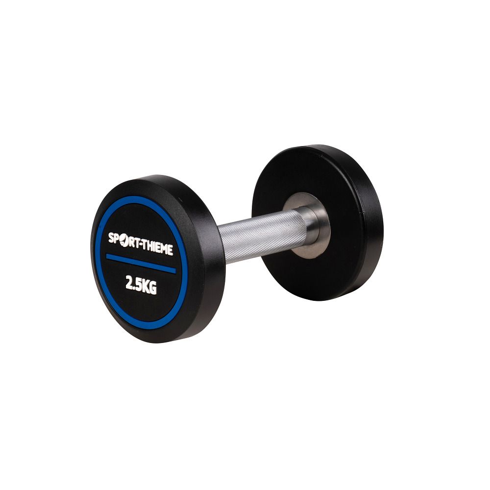 Hantel mit schwarzem Kopf, blauem Ring und silberner Stange. Aufschrift: Sport-Thieme, 2.5KG.