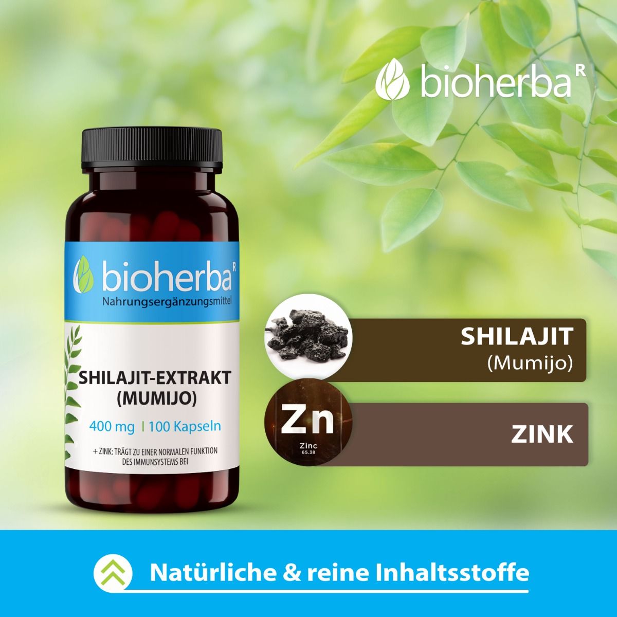 Bioherba Shilajit-Extrakt (Mumijo) Kapseln