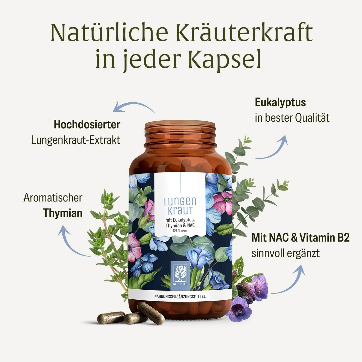 Flasche Atem Komplex Lungenkraut mit Pfeilen, die Lungenkraut, Thymian, Eukalyptus, NAC und Vitamin B2 hervorheben.