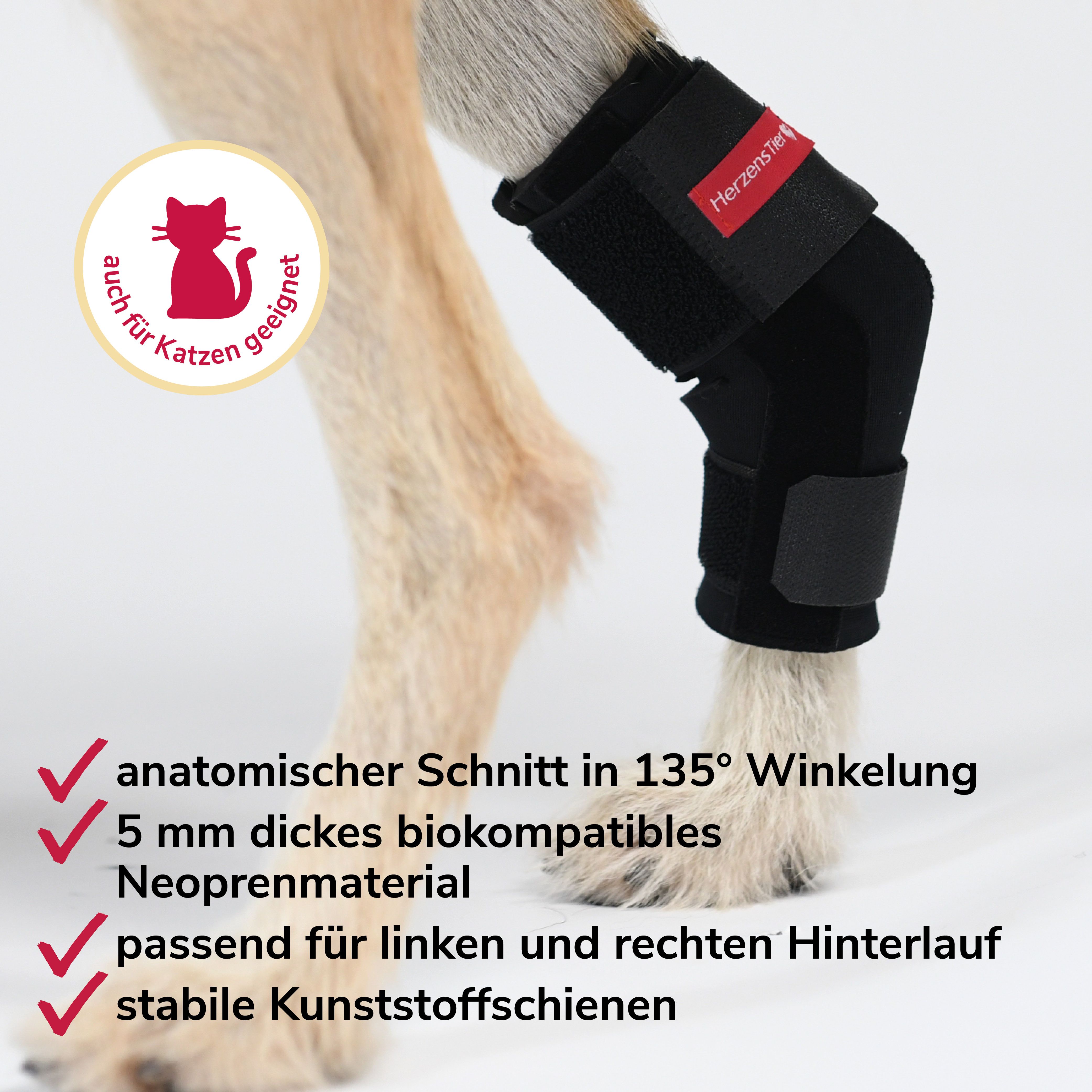 Schwarze Sprunggelenkbandage aus Neopren für Hunde und Katzen. Anatomischer Schnitt, 5 mm dickes Material, stabile Kunststoffschienen.