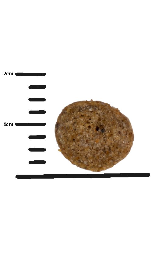 Green Petfood VeggieDog Origin