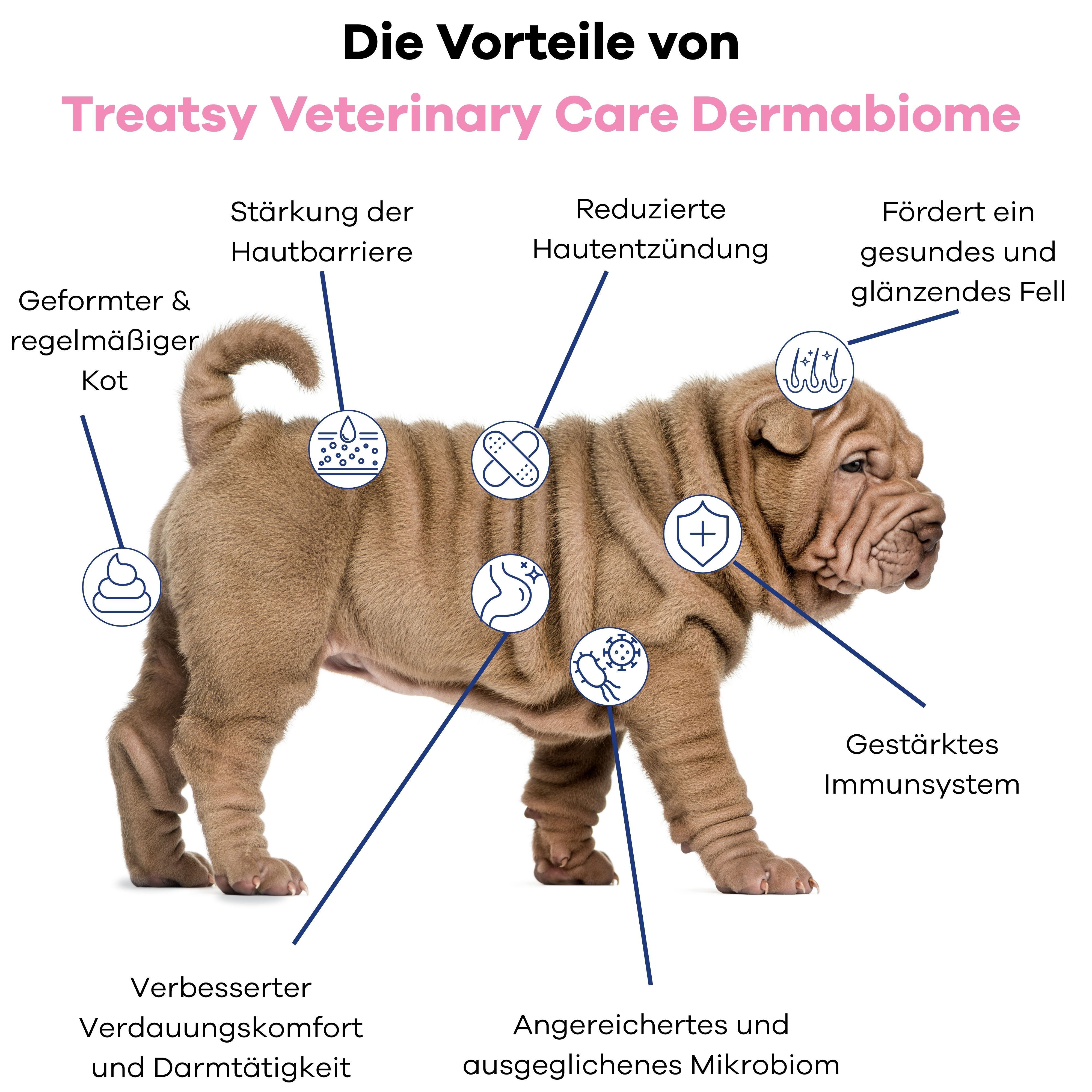 Hund mit Diagramm. Vorteile von Treatsy Veterinary Care Dermabiome: Hautbarriere, Entzündung, Fell.