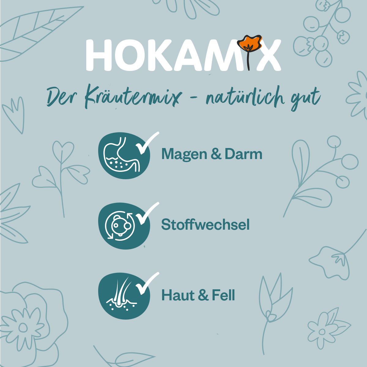 GRAU HOKAMIX Vitality Booster