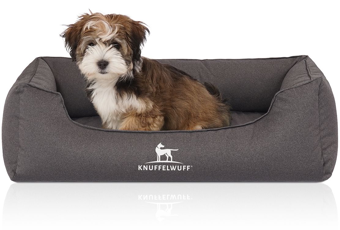 Graues Hundebett mit Hund. Logo "Knuffelwuff" auf der Vorderseite. Hund sitzt im Bett.