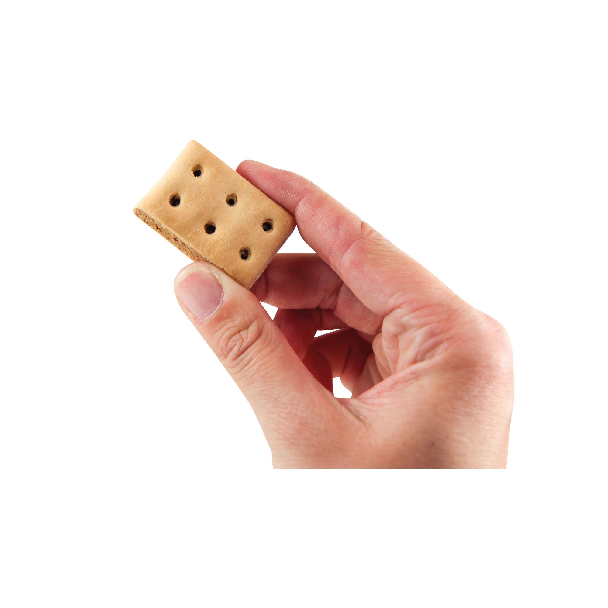 Hand hält einen rechteckigen Keks. Helle Oberfläche, dunklere Füllung, Löcher. Nahaufnahme, weißer Hintergrund.