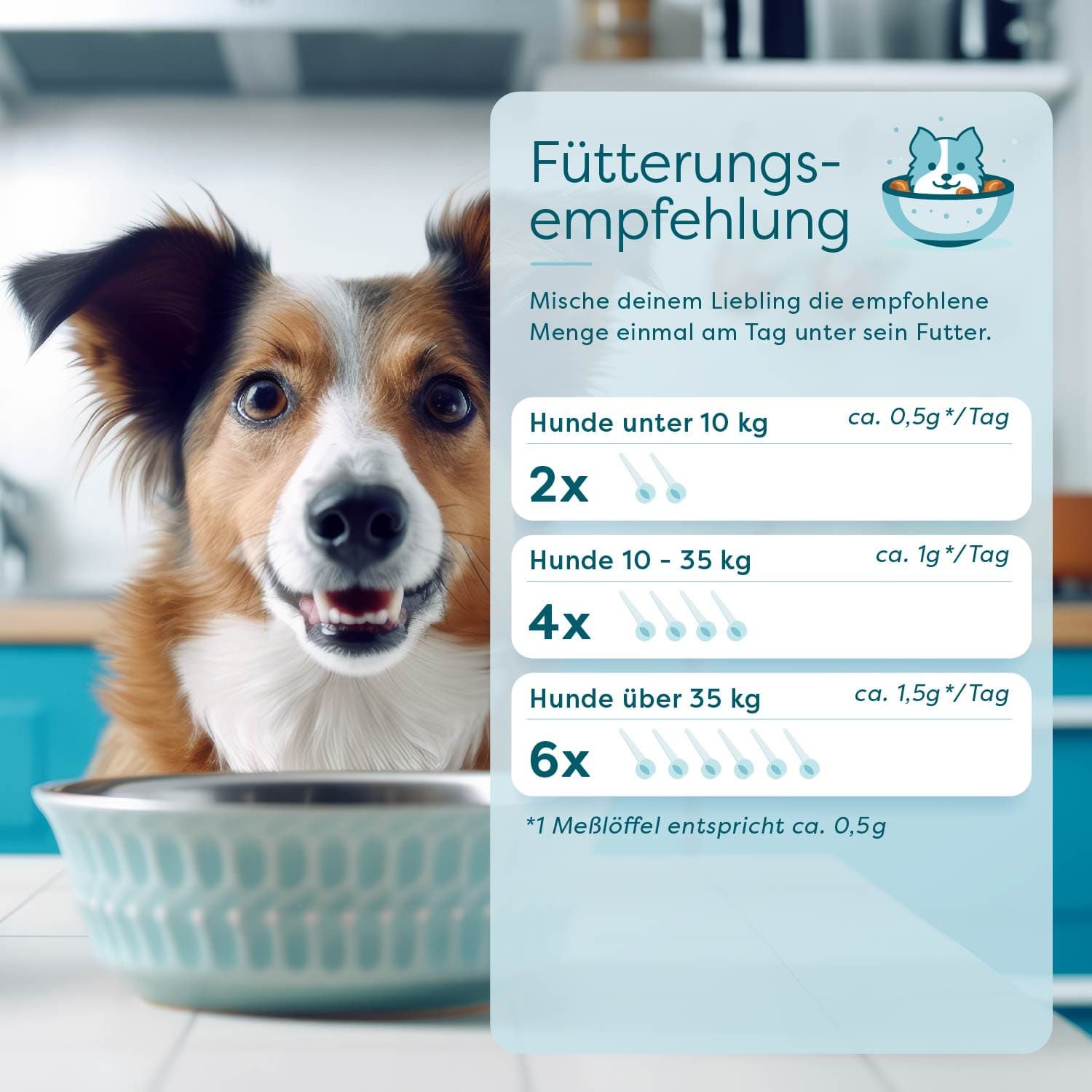 GelenkWunder Dog 45g